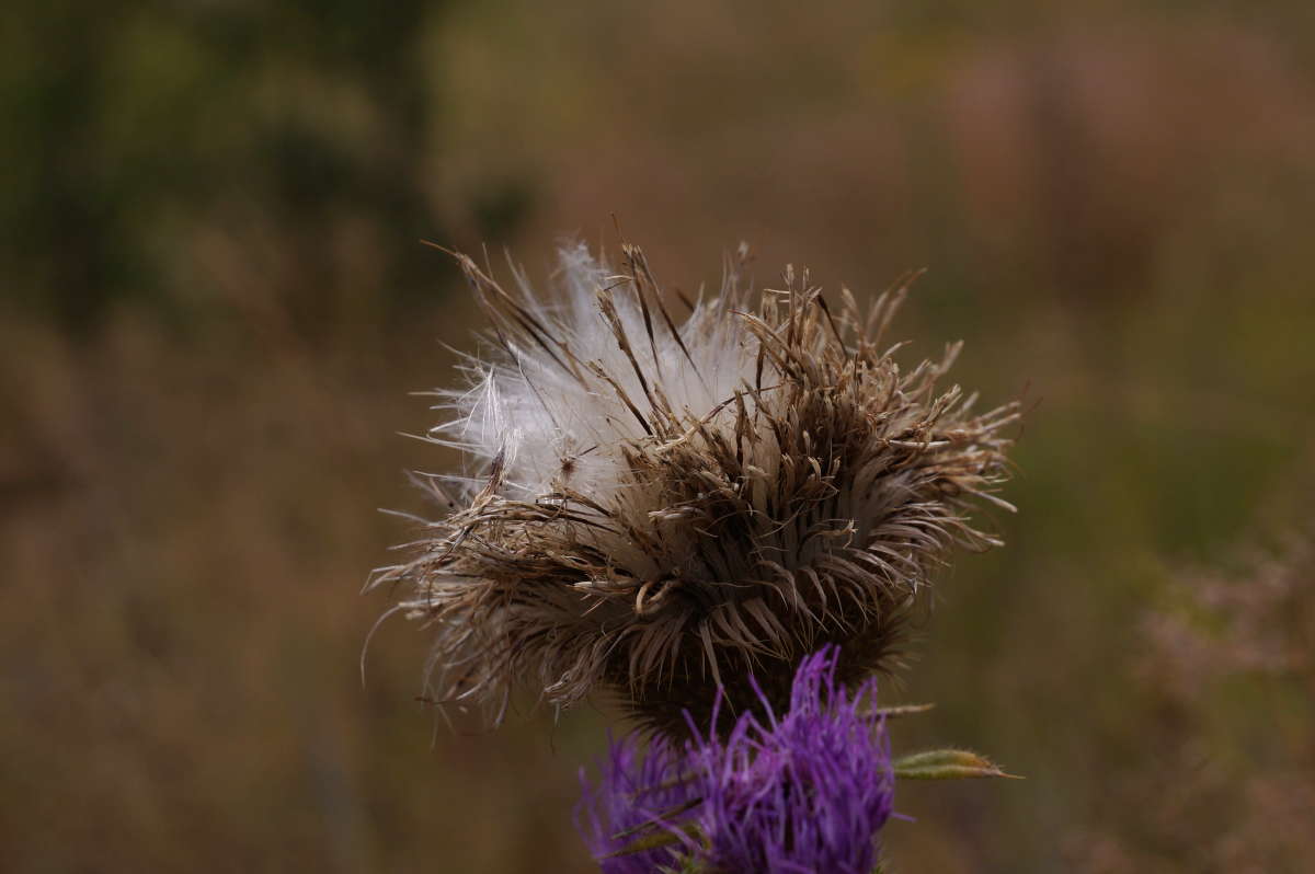 �������� ����� �������� ����� �� PhotoGeek.ru #������ ��� ������� #����� ��������������