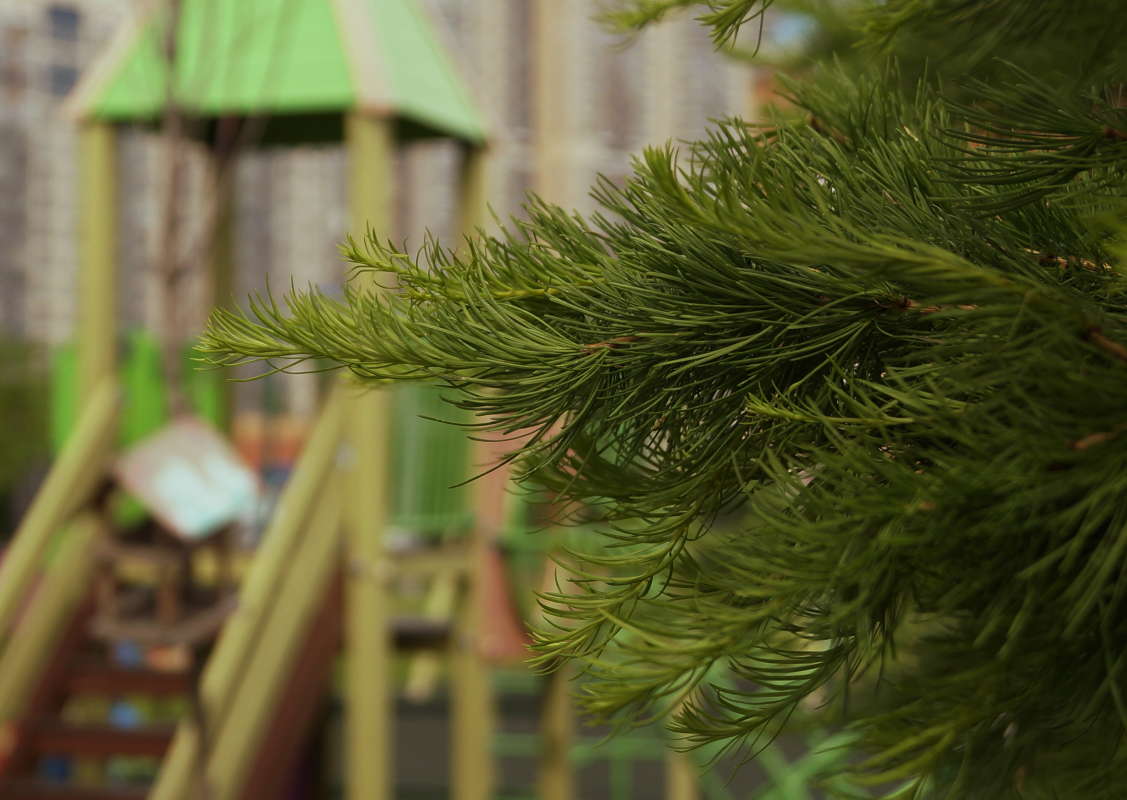 ����� ���� ����� �������� ����� �� PhotoGeek.ru #������ ��� ������� #����� ��������������