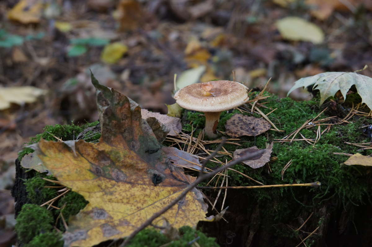 ����� ����� �������� ����� �� PhotoGeek.ru #������ ��� ������� #����� ��������������