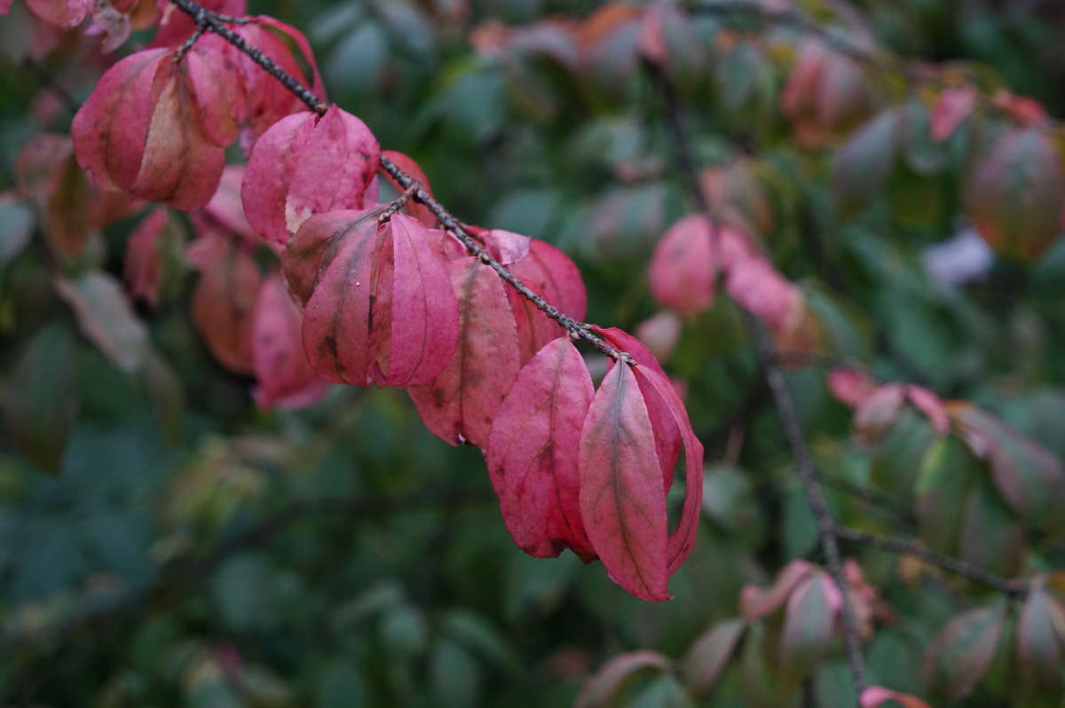 ������� ����� ����� �������� ����� �� PhotoGeek.ru #������ ��� ������� #����� ��������������