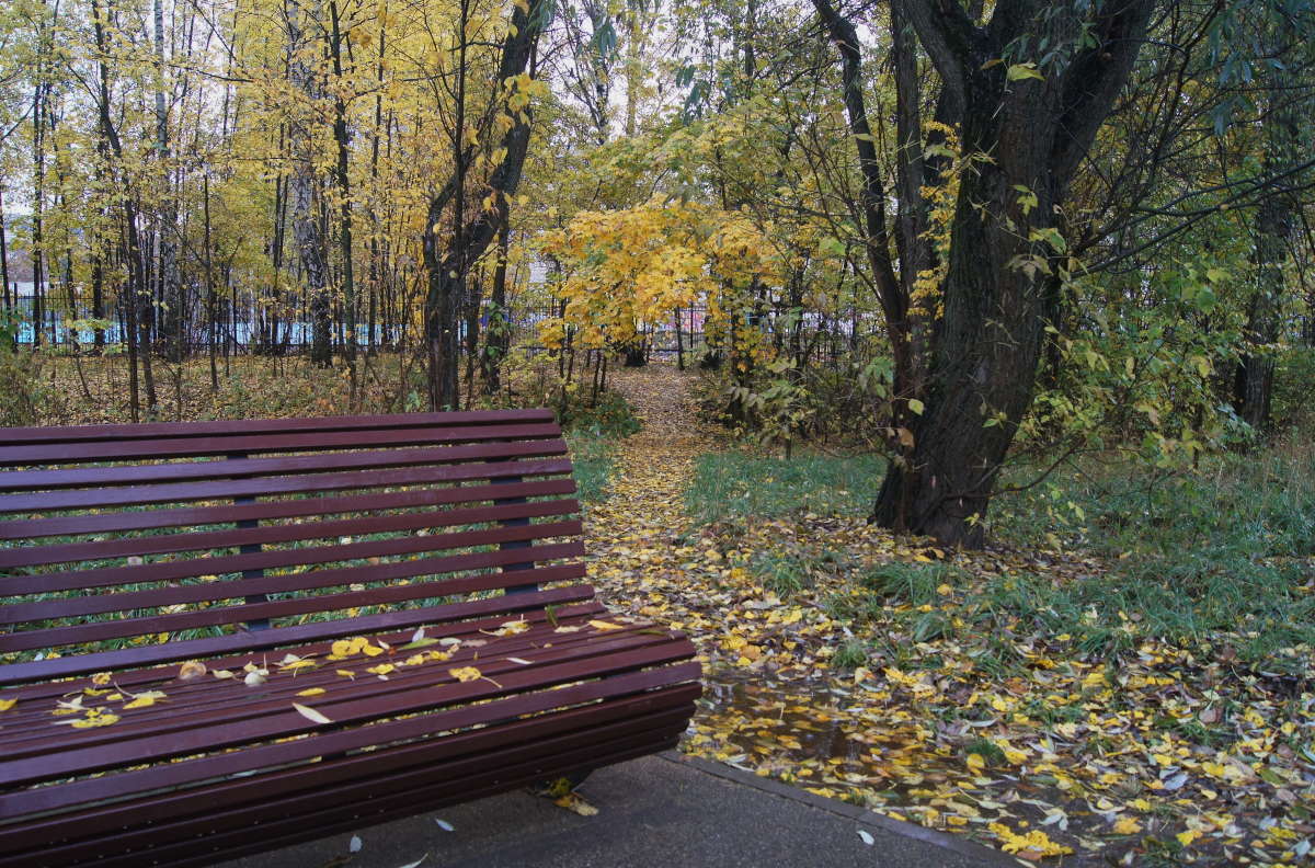 ��������� ���� ����� �������� ����� �� PhotoGeek.ru #������ ��� ������� #����� ��������������