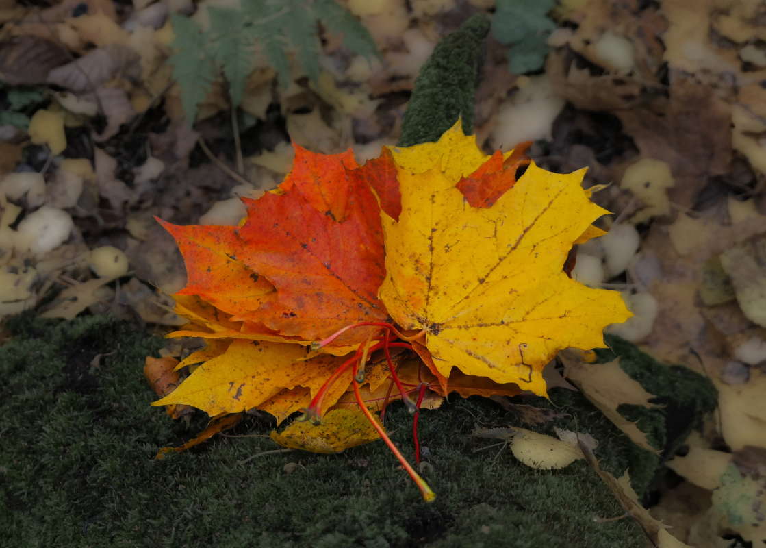 ������ ����� �������� ����� �� PhotoGeek.ru #������ ��� ������� #����� ��������������