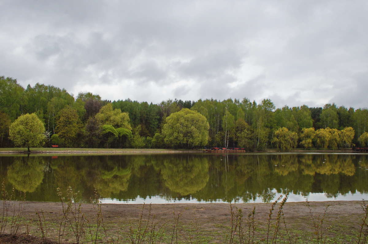 Dull summer ����� �������� ����� �� PhotoGeek.ru #������ ��� ������� #����� ��������������