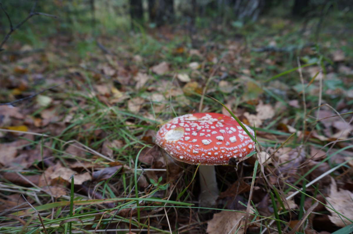 �������, ������, ������� ����� �������� ����� �� PhotoGeek.ru #������ ��� ������� #����� ��������������