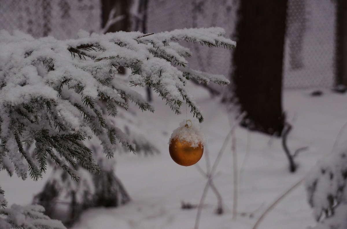 �����, ����� �� ���� ����� ����� ����� ����� �������� ����� �� PhotoGeek.ru #������ ��� ������� #����� �������������� #������ #����� ��������