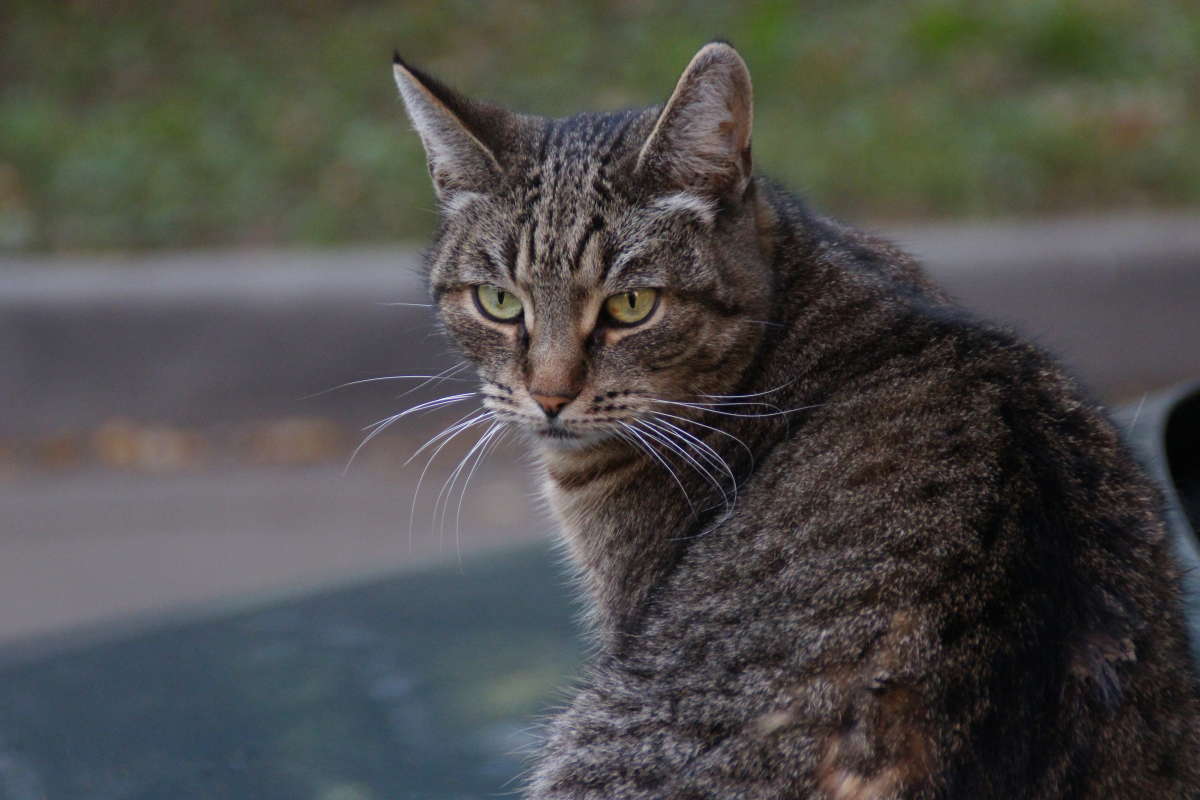 ������� ����� �������� ����� �� PhotoGeek.ru #�������� ���