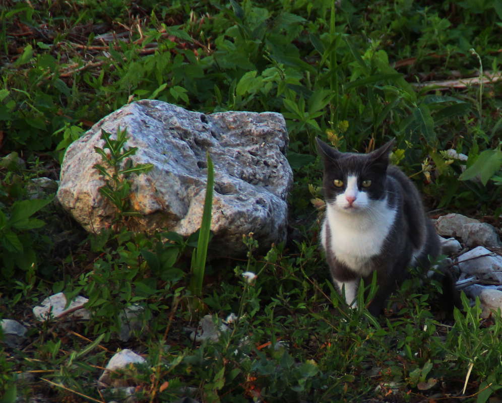 � ������ ����� ����� �������� ����� �� PhotoGeek.ru #�������� ��� #�������� ���