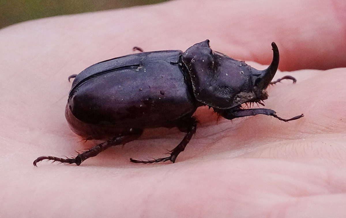 ������� ����� �������� ����� �� PhotoGeek.ru #�������� ��� #����� ��� ��� ���������