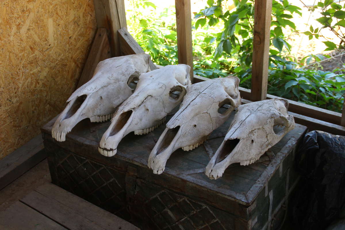 ��� ������ ����� �������� ����� �� PhotoGeek.ru #�������� ���