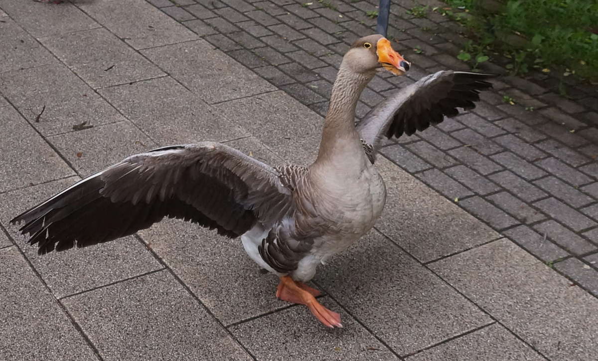 ��-��-��-����� ����� �������� ����� �� PhotoGeek.ru #�������� ��� #�������� ���