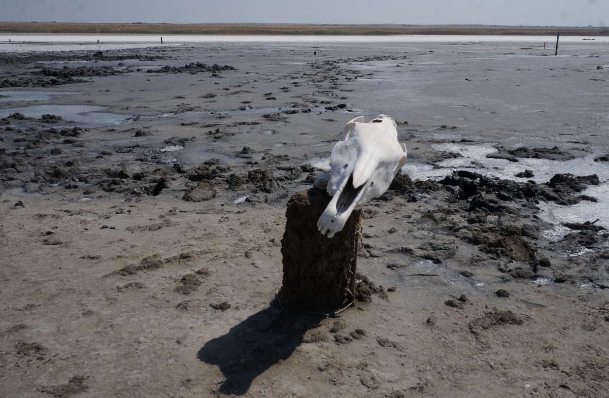 �������������� ����� �������� ����� �� PhotoGeek.ru #������ ��� ������� #����� ��������