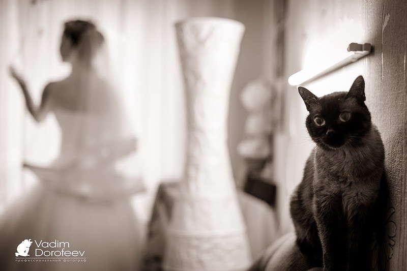 3 ����� ����� �������� �� PhotoGeek.ru #��������� ����������