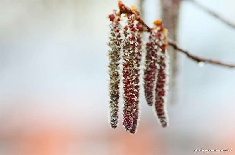 �������... ����� Vladimir  �� PhotoGeek.ru #������ ��� �������