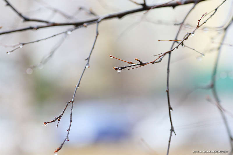 *** ����� Vladimir  �� PhotoGeek.ru #������ ��� �������