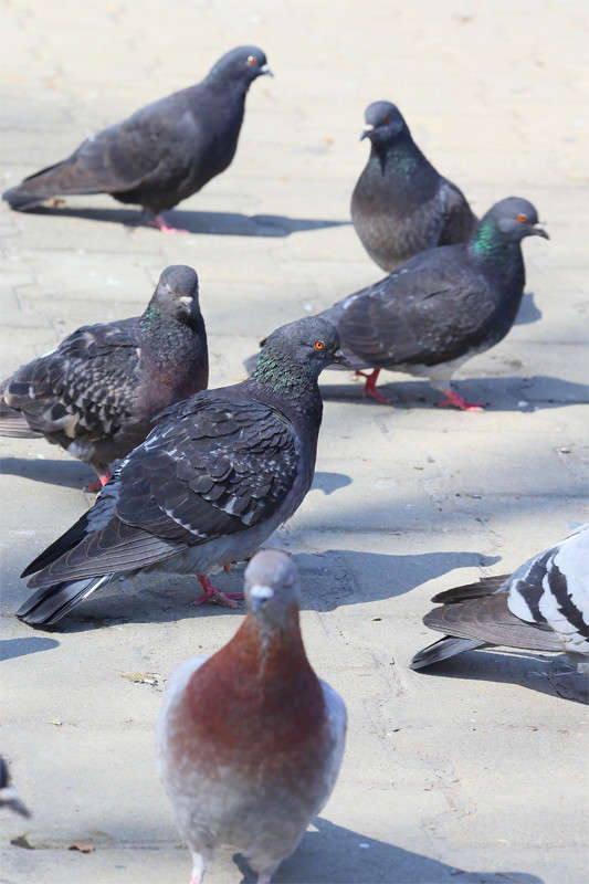 �������... ����� Vladimir  �� PhotoGeek.ru #������ ��� �������