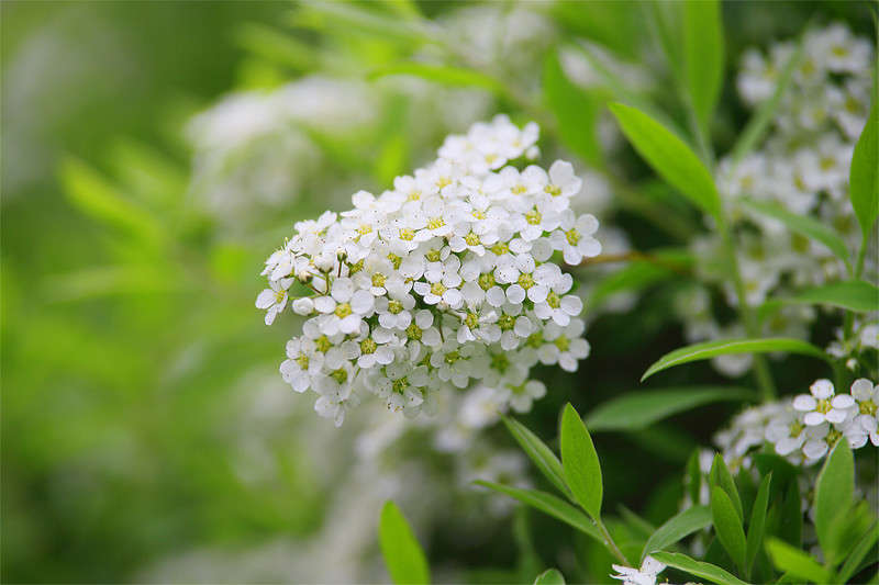 **** ����� Vladimir  �� PhotoGeek.ru #������ ��� �������