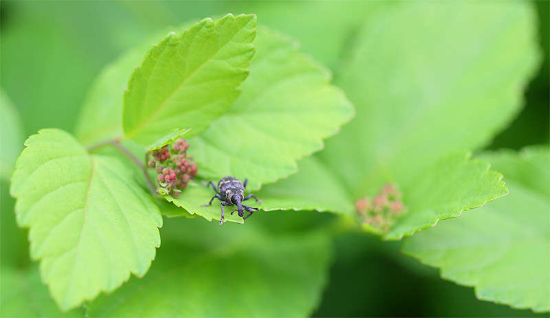 ������ ����� Vladimir  �� PhotoGeek.ru #������ ��� �������