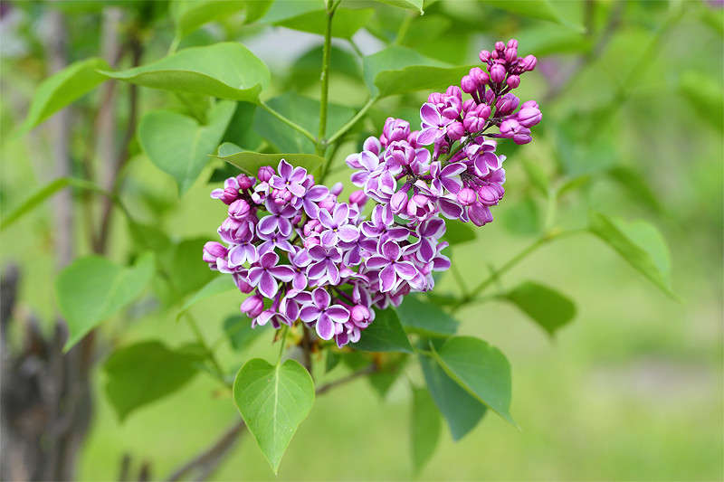 **** ����� Vladimir  �� PhotoGeek.ru #������ ��� �������