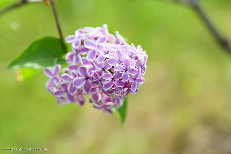 *** ����� Vladimir  �� PhotoGeek.ru #������ ��� �������