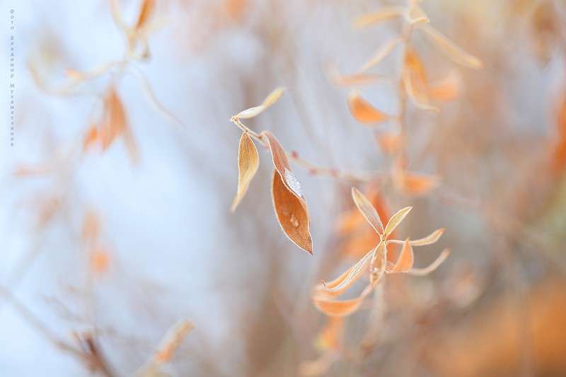 *** ����� Vladimir  �� PhotoGeek.ru #������ ��� �������