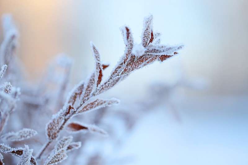 *** ����� Vladimir  �� PhotoGeek.ru #������ ��� �������