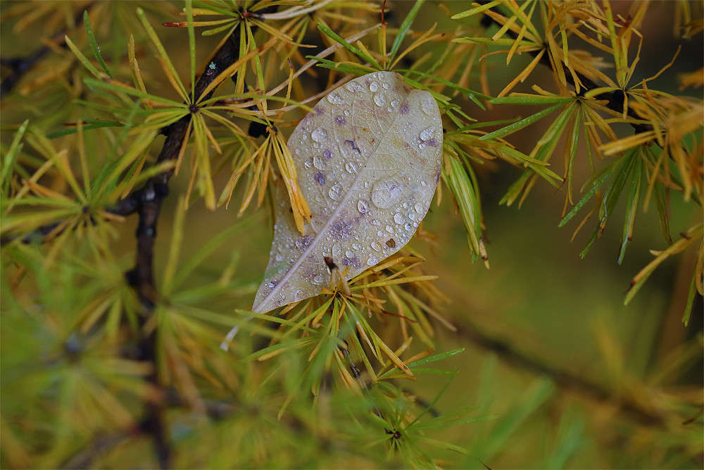 ���� ����� Vladimir  �� PhotoGeek.ru #������ ��� �������