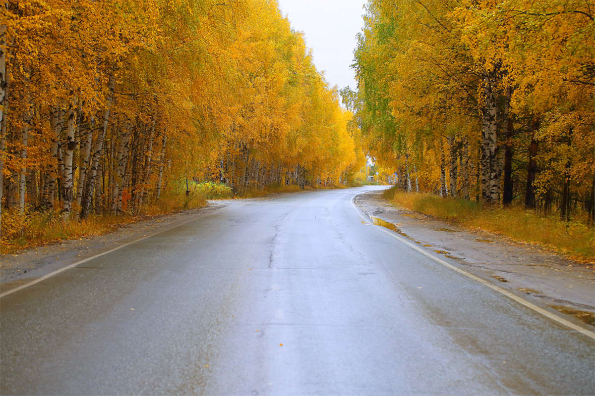 ������� ������ ����� Vladimir  �� PhotoGeek.ru #������ ��� �������