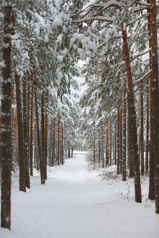 *** ����� Vladimir  �� PhotoGeek.ru #������ ��� �������