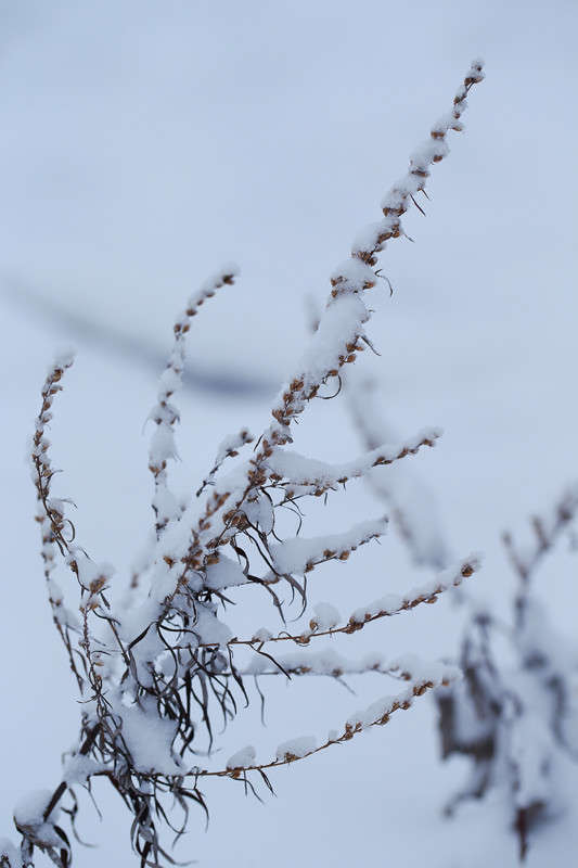 *** ����� Vladimir  �� PhotoGeek.ru #������ ��� �������