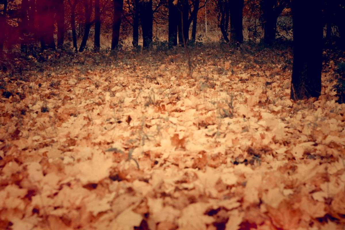 ����� 4 ����� Danila  �� PhotoGeek.ru #������ ��� ������� #����� �������������� #������ #����� ��������