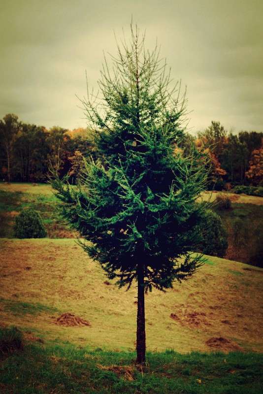 ����� 2 ����� Danila  �� PhotoGeek.ru #������ ��� ������� #����� �������������� #����� ��������