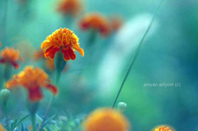 �/� ����� �����  �� PhotoGeek.ru #������ ��� �������