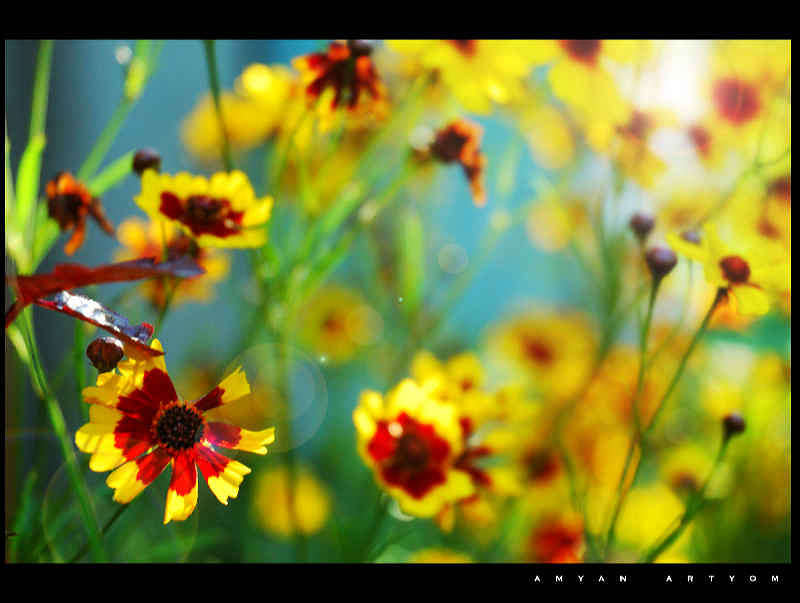 �� ���� ����� �����  �� PhotoGeek.ru #������ ��� �������