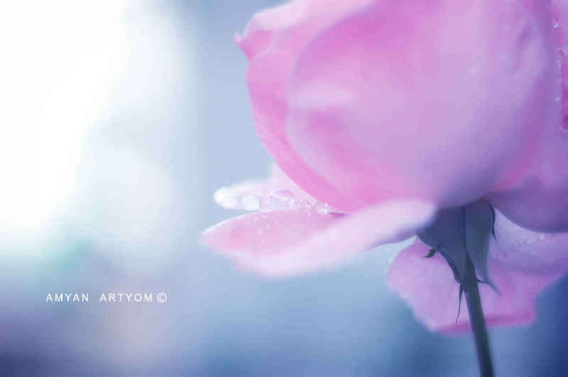 �������� � ����� ����� �����  �� PhotoGeek.ru #������ ��� �������