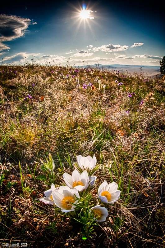 ����������� ����� ���� ������ �� PhotoGeek.ru #������ ��� �������