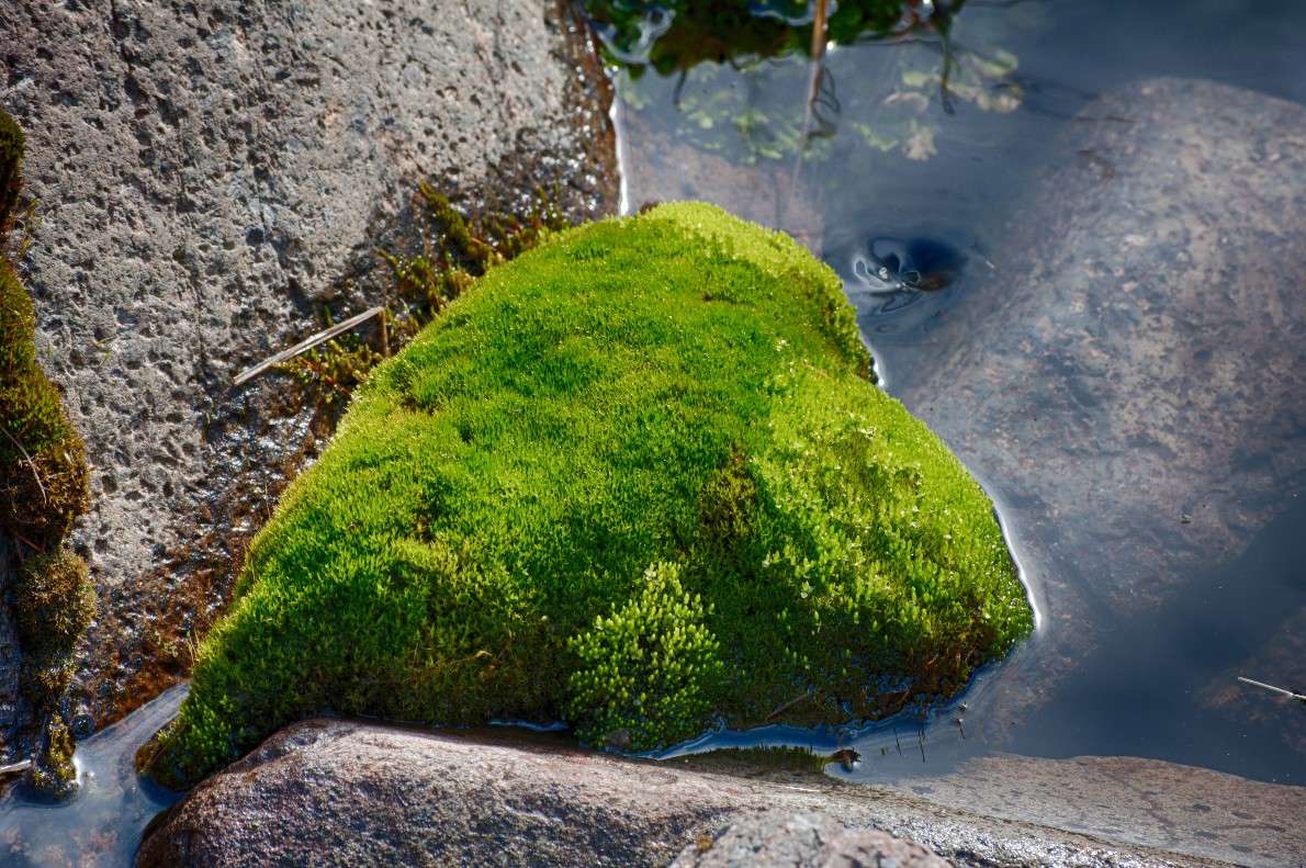 ������� ������ ����� ���� ������ �� PhotoGeek.ru #������ ��� �������