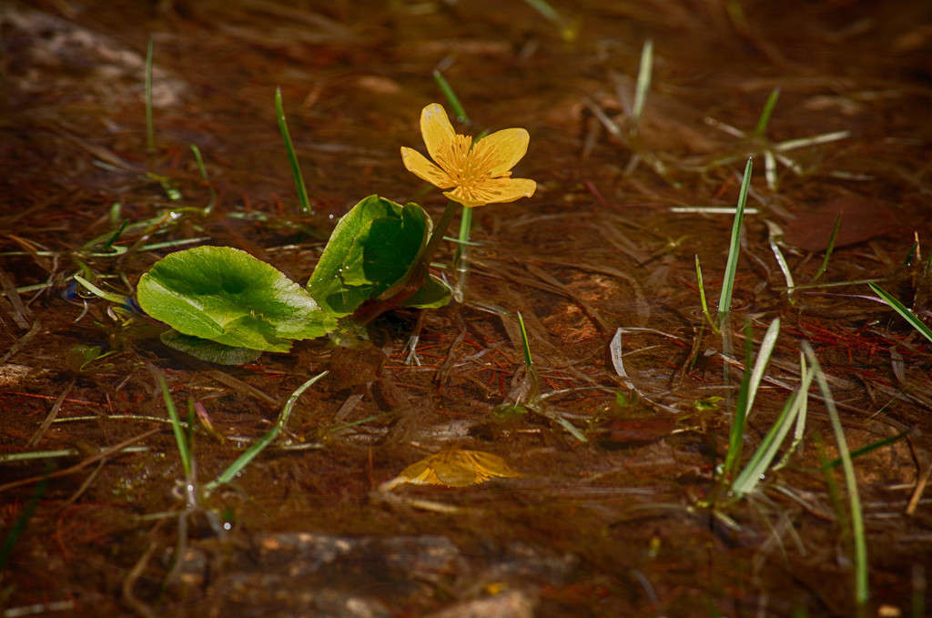 ����� � ��������� ����� ���� ������ �� PhotoGeek.ru #������ ��� �������