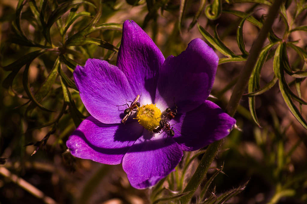 ������ ����� ����� ���� ������ �� PhotoGeek.ru #������ ��� �������