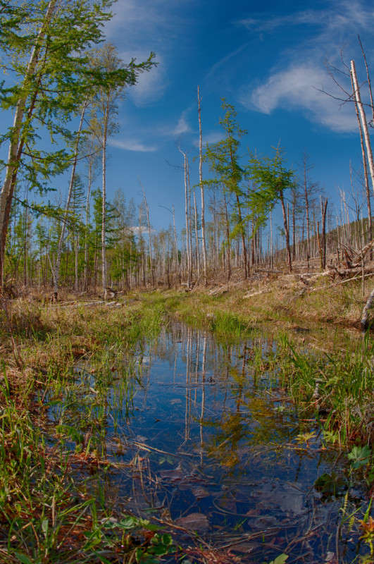 ����� ����� ���� ������ �� PhotoGeek.ru #������ ��� �������