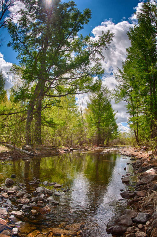 �� ������ ����� ����� ���� ������ �� PhotoGeek.ru #������ ��� �������