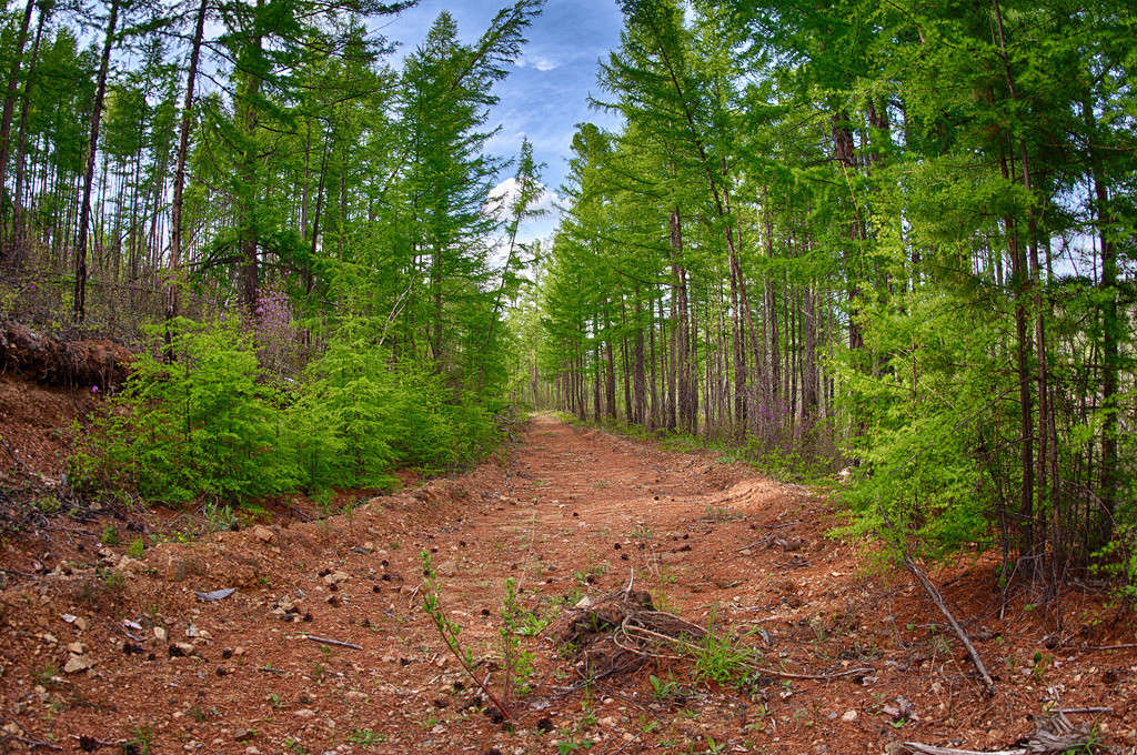 ��� � ������ ����� ���� ������ �� PhotoGeek.ru #������ ��� �������