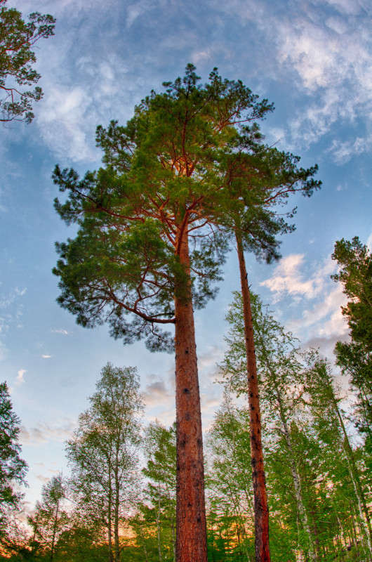 �����... ����� ���� ������ �� PhotoGeek.ru #������ ��� �������