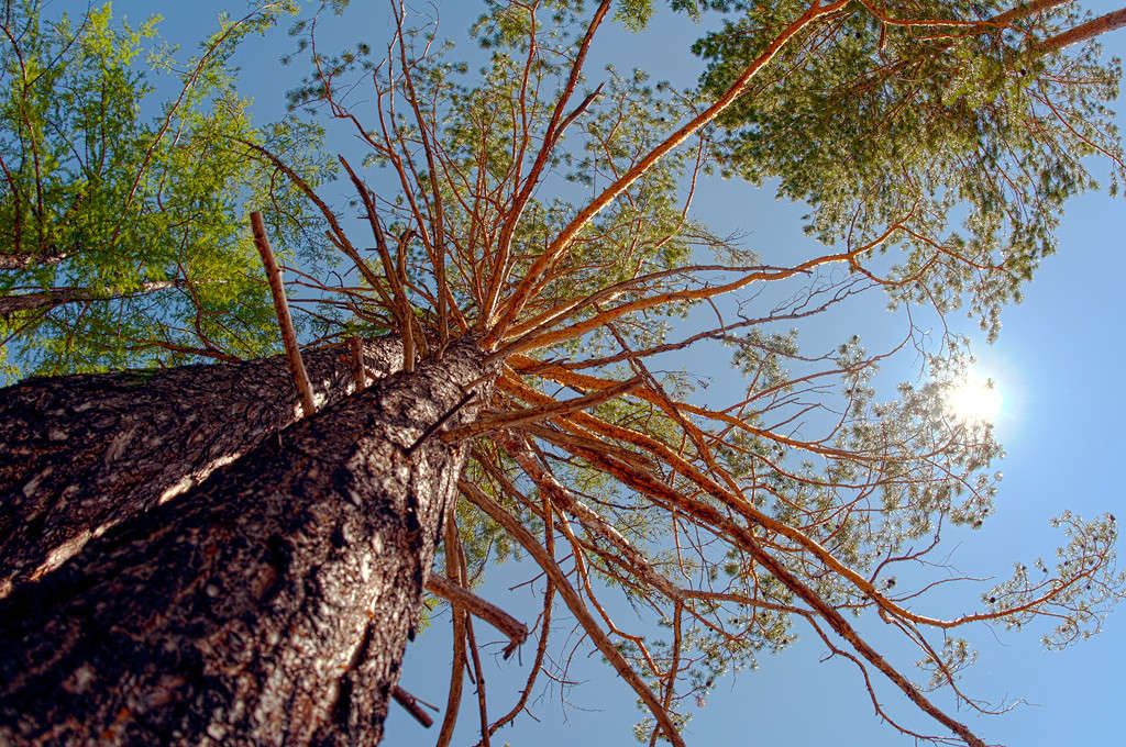 ��� ������� �����.. ����� ���� ������ �� PhotoGeek.ru #������ ��� �������