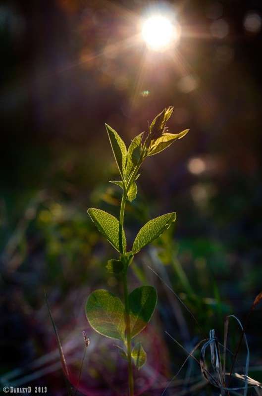 ����� ������ ����� ���� ������ �� PhotoGeek.ru #������ ��� �������