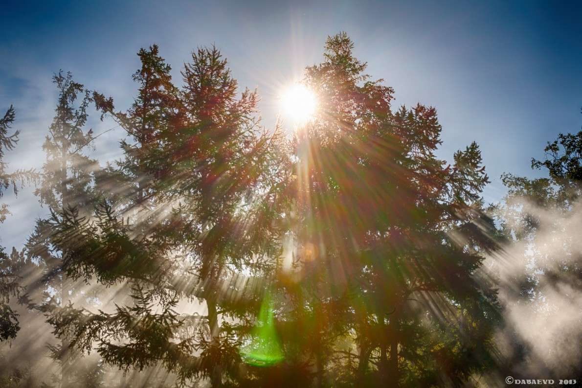 ������ ����! ����� ���� ������ �� PhotoGeek.ru #������ ��� �������