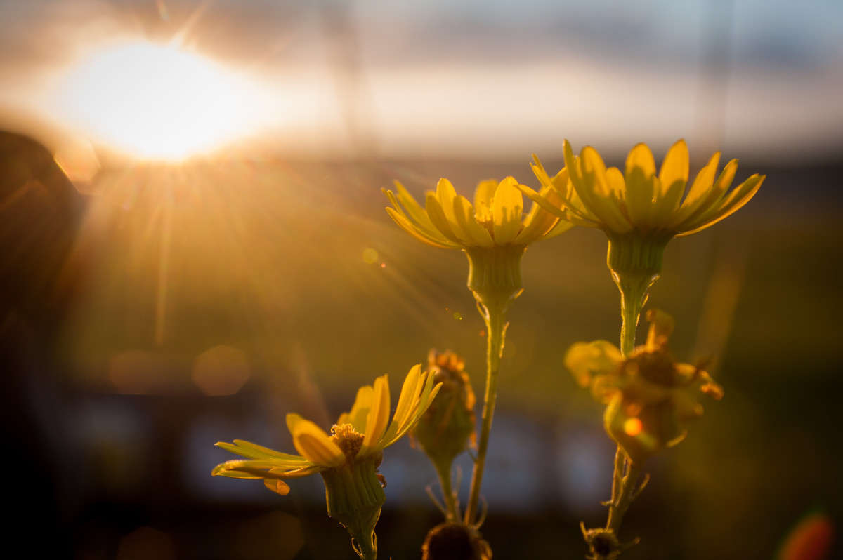 ������ ������ ����� ����� ���� ������ �� PhotoGeek.ru #������ ��� �������