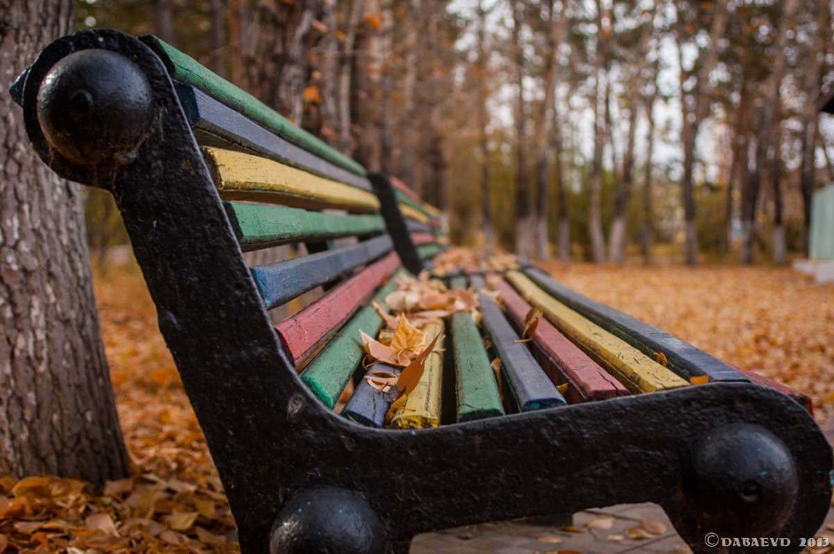 ������� ����������. 29.09.2013. ����� ���� ������ �� PhotoGeek.ru #������ ��� ������� #�������� ����������