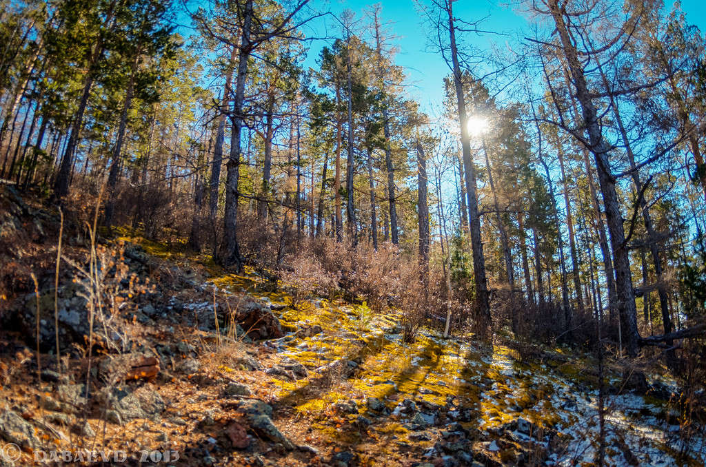 ����� �� ������� ����� ���� ������ �� PhotoGeek.ru #������ ��� �������