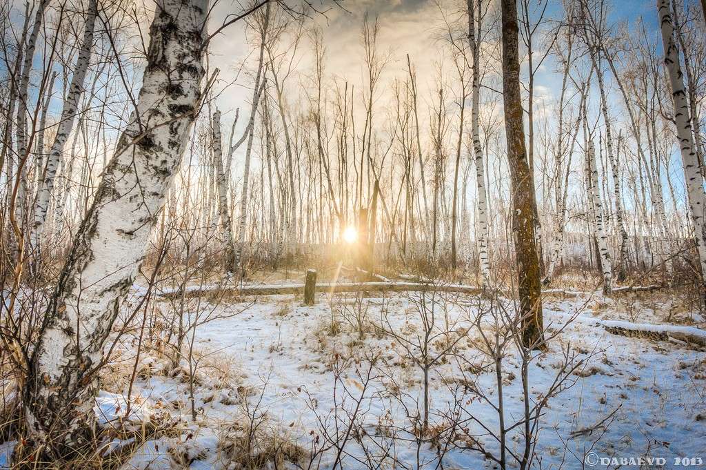 ���� ���� ����� ���� ������ �� PhotoGeek.ru #������ ��� �������