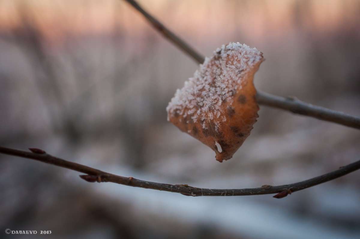 ��������� ����� ����� ���� ������ �� PhotoGeek.ru #����� #������ ��� �������